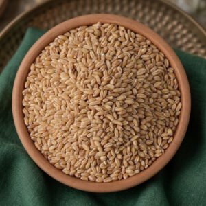 Khapli Wheat