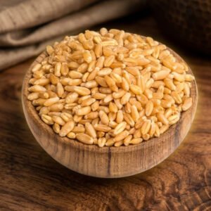 Lokwan Wheat